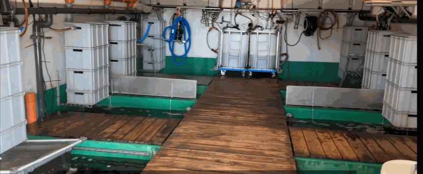 Indoor Aquaponikanlage teilweise unterirdisch