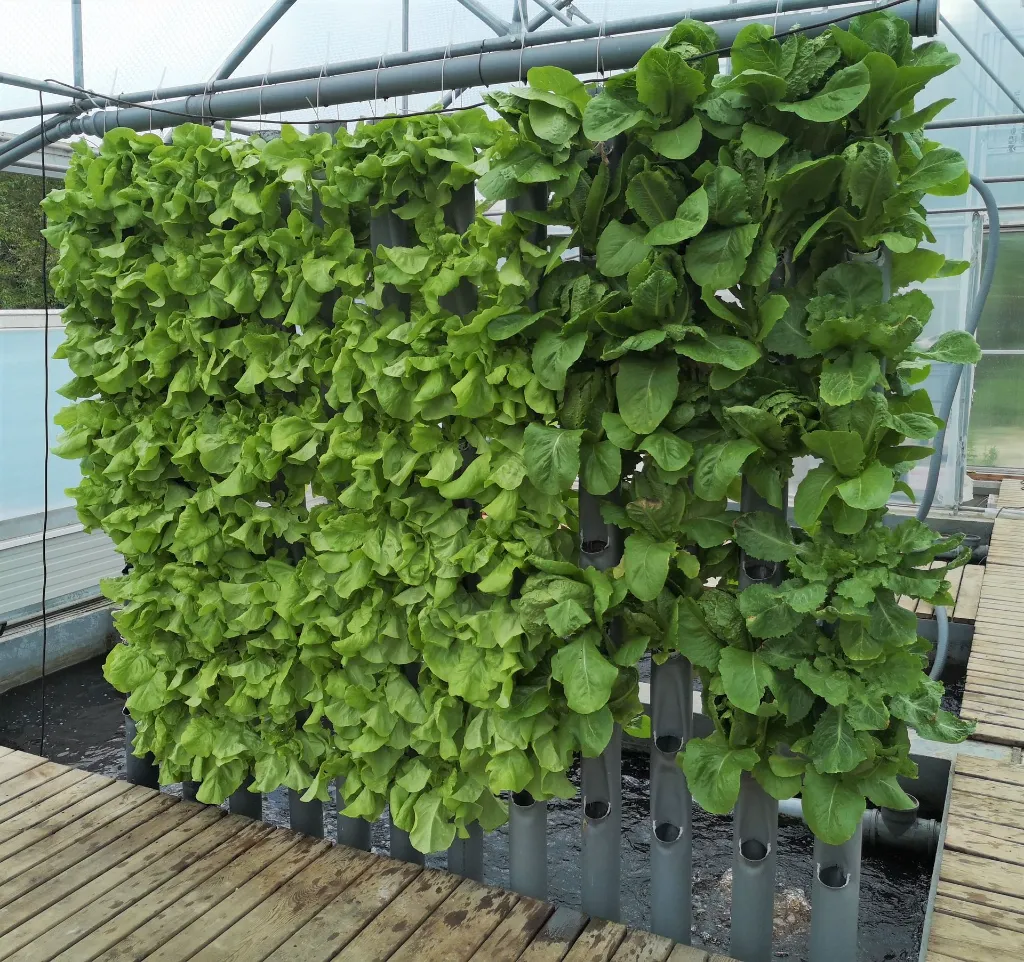 GrowTower 2.webp