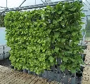 GrowTower 2.webp